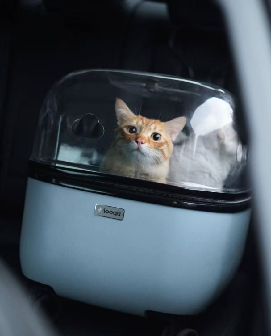 "Minimalist Pet Mobility Pod | 🪐 Curated for Modern Aesthetics🏙️ For City-Savvy Pet Parents